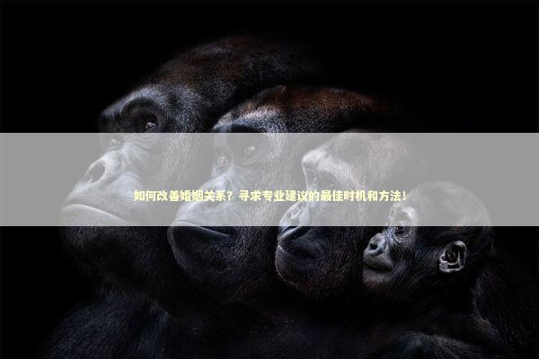 如何改善婚姻关系？寻求专业建议的最佳时机和方法！