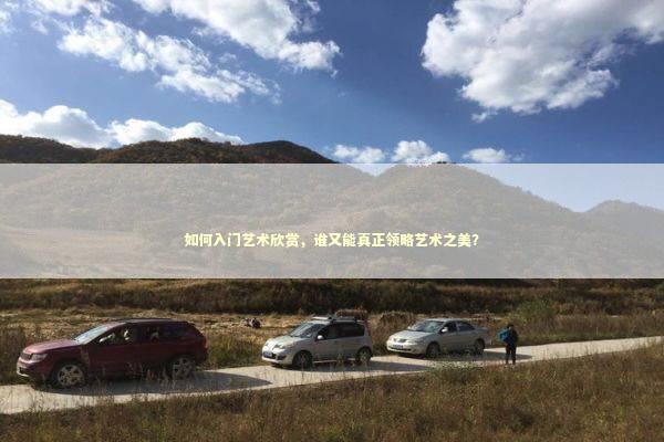 如何入门艺术欣赏，谁又能真正领略艺术之美？