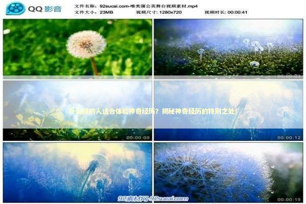 什么样的人适合体验神奇经历？揭秘神奇经历的特别之处！