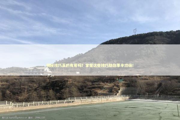 揭秘技巧真的有用吗？掌握这些技巧助你事半功倍！