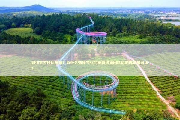 如何有效挽回感情？为什么选择专业的感情修复团队协助你走出困境？