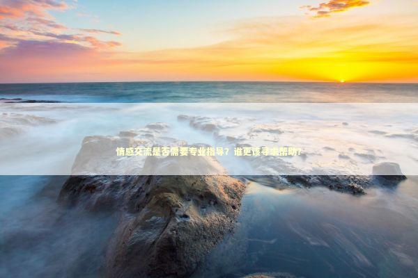 情感交流是否需要专业指导？谁更该寻求帮助？