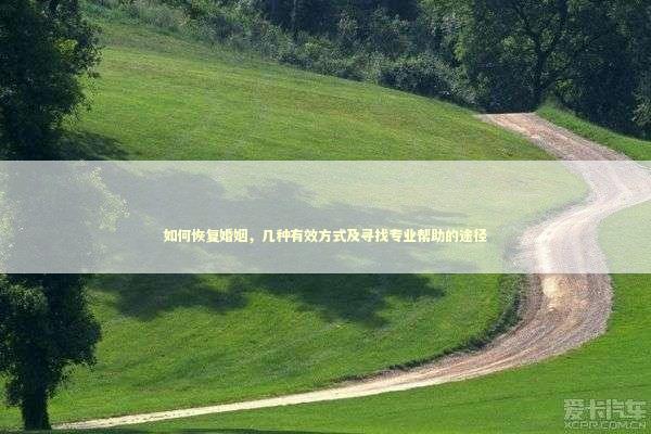 如何恢复婚姻，几种有效方式及寻找专业帮助的途径