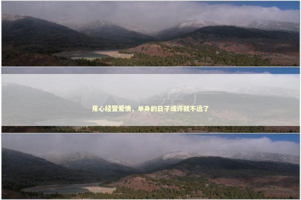用心经营爱情，单身的日子或许就不远了