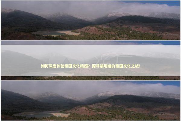 如何深度体验泰国文化精髓？探寻最地道的泰国文化之旅！