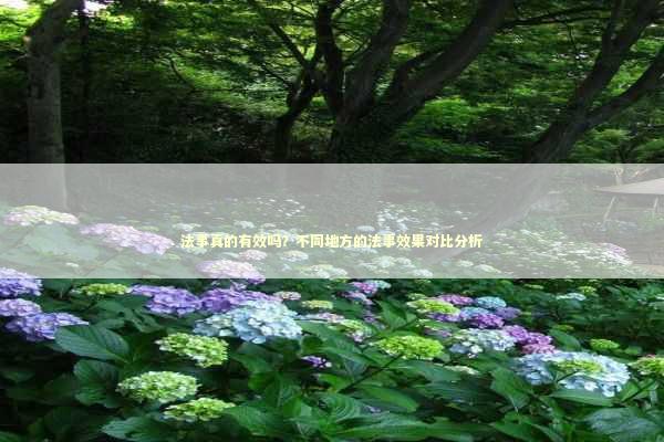 法事真的有效吗？不同地方的法事效果对比分析