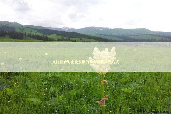 文化融合对企业发展的助力及其实现方式