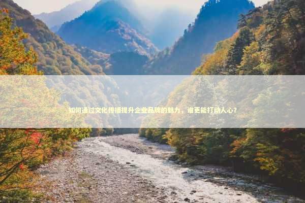如何通过文化传播提升企业品牌的魅力，谁更能打动人心？