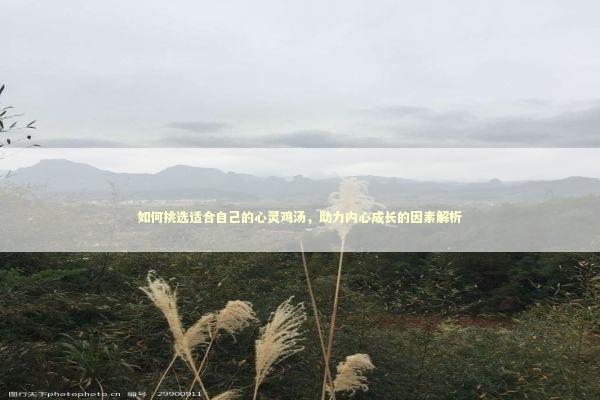 如何挑选适合自己的心灵鸡汤，助力内心成长的因素解析