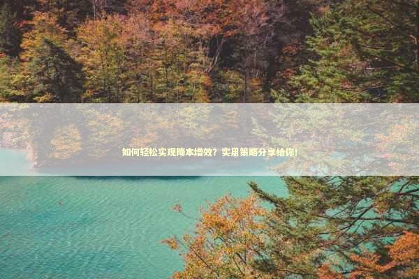 如何轻松实现降本增效？实用策略分享给你！