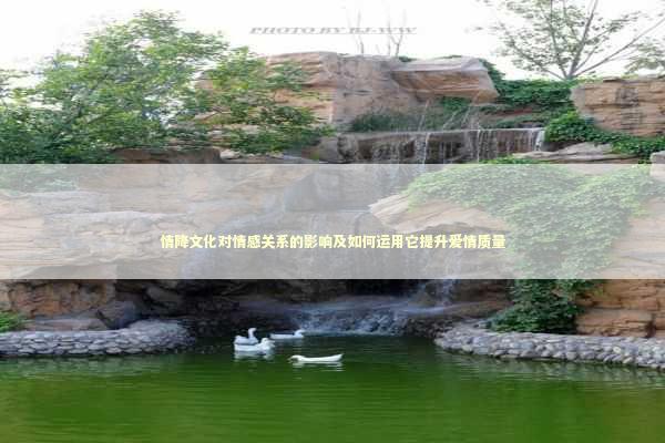 情降文化对情感关系的影响及如何运用它提升爱情质量