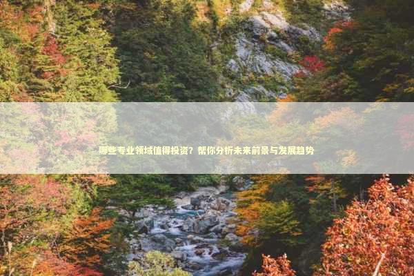 哪些专业领域值得投资？帮你分析未来前景与发展趋势 救护车资质指南