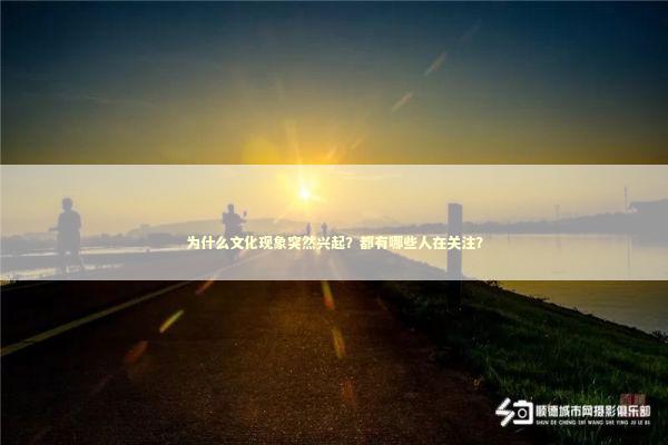 为什么文化现象突然兴起？都有哪些人在关注？
