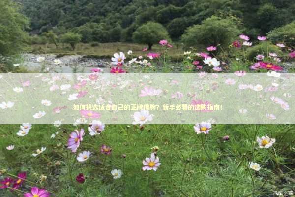 如何挑选适合自己的正牌佛牌？新手必看的选购指南！